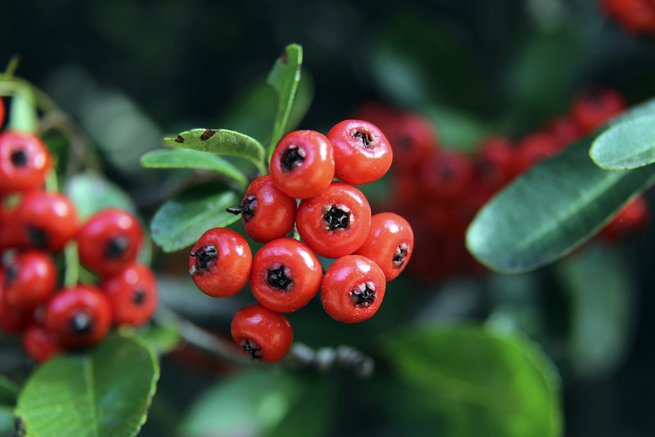 目標將不再 目標將不再